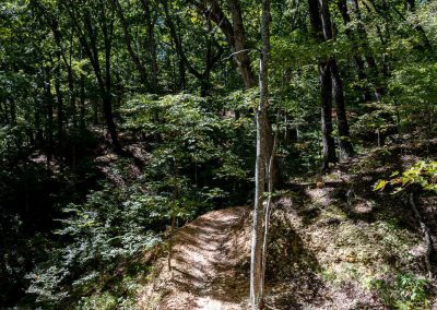 Trail by home house image