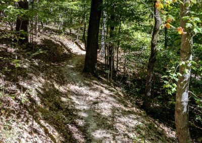 Trail by home house image